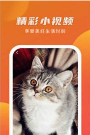 夜伴阅读会-插图1