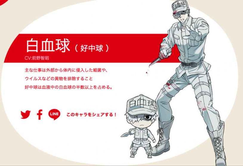 工作细胞第二季樱花版-插图3