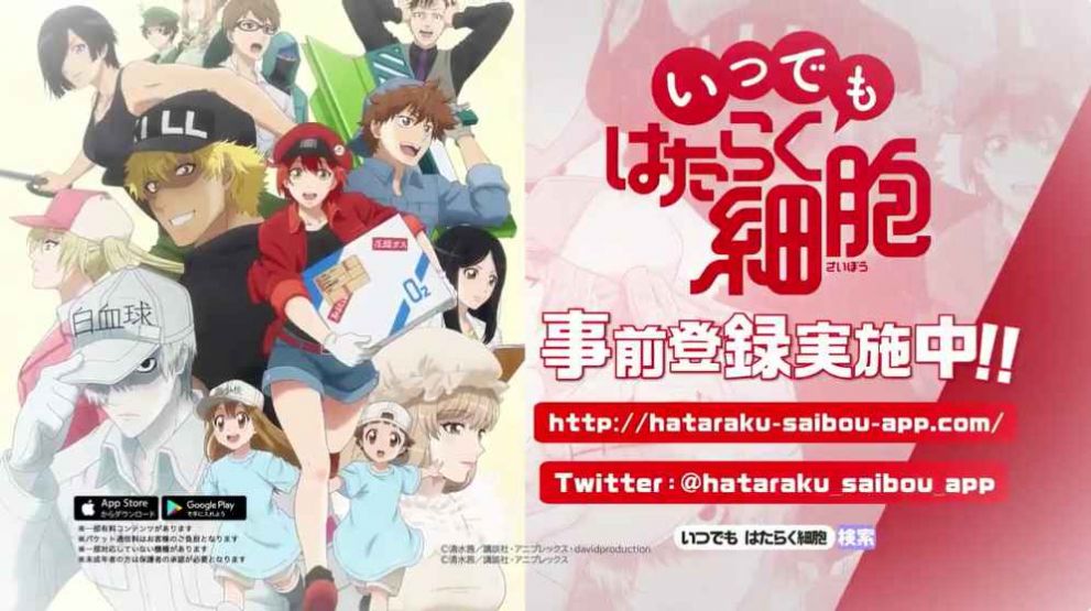 工作细胞第二季樱花版-插图2