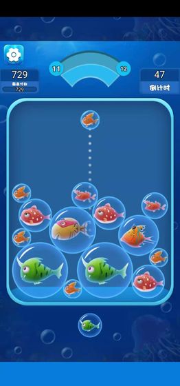 海洋泡泡鱼-插图1 海洋泡泡鱼-插图1