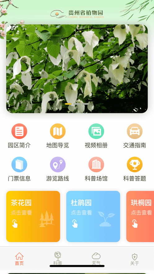 贵州省植物园-插图3
