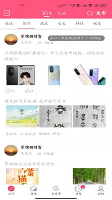 笨嘴猫购物-插图2