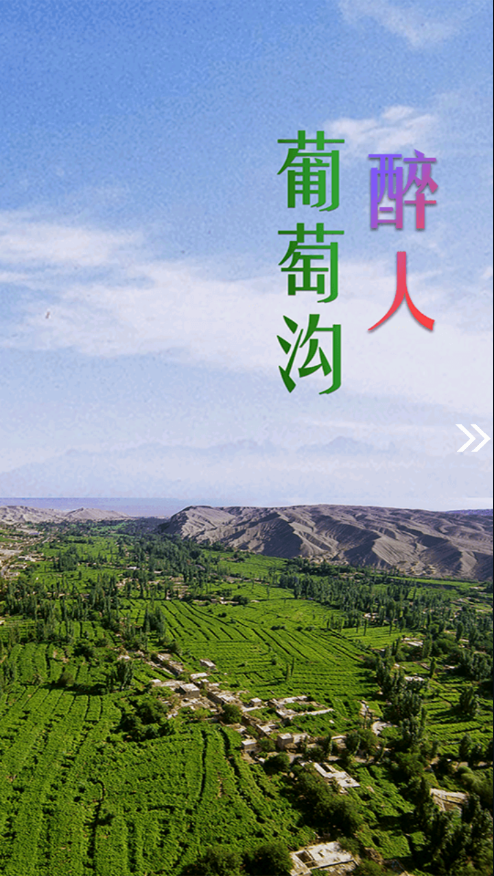 高昌好地方-插图3