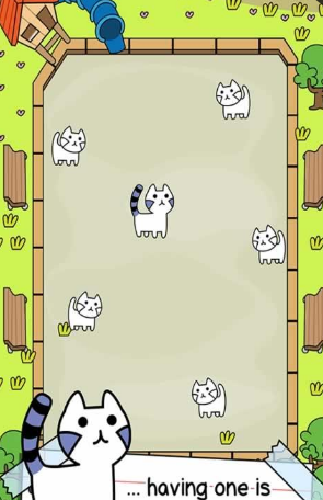 会进化的猫-插图2