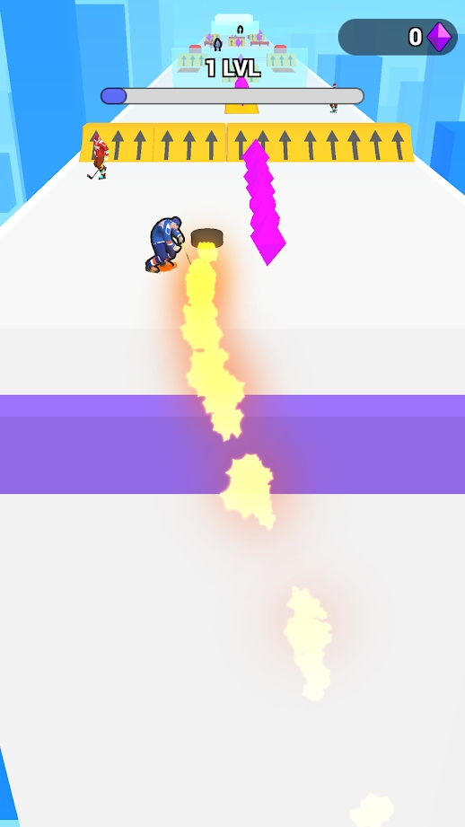 曲棍球屋顶-插图1