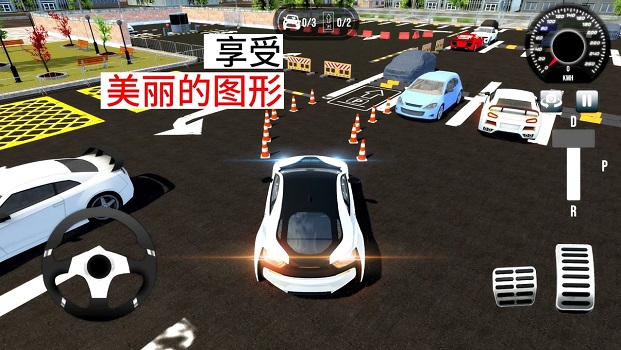 豪华停车厂泊车-插图3