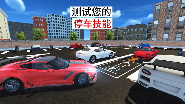 豪华停车厂泊车-插图1