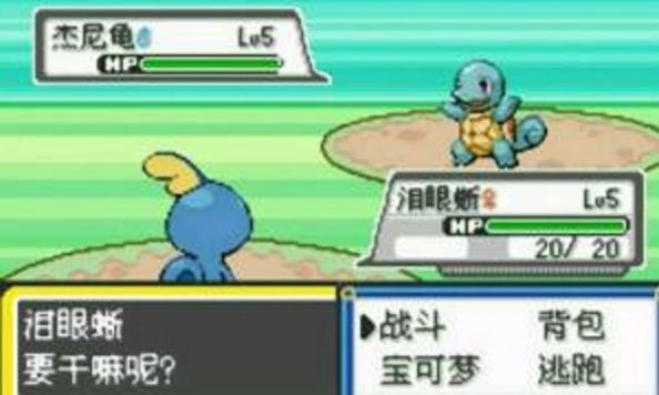 精灵宝可梦回响之音-插图1