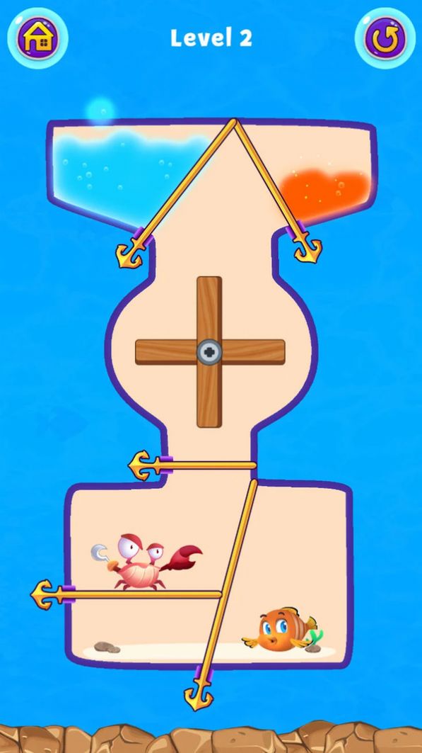 拉针金鱼-插图1