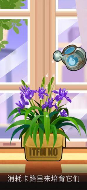 我家花园2021-插图2