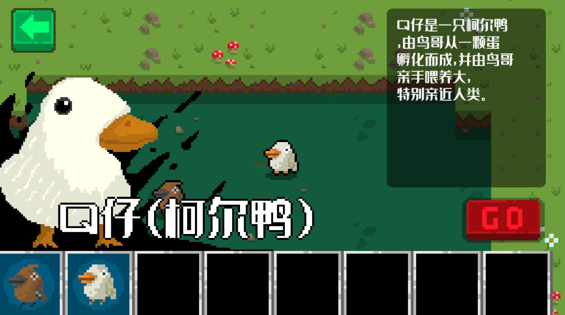 小鸟与黑暗森林-插图1