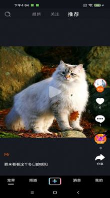 宠艾app-插图2 宠艾app-插图2