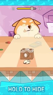 小猫捉迷藏-插图2