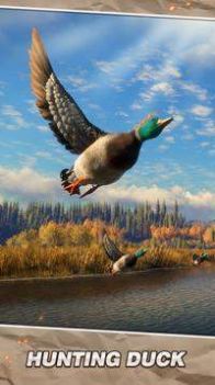 野生生存狩猎-插图2