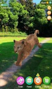 会说话的猎豹游戏-插图2 会说话的猎豹游戏-插图2