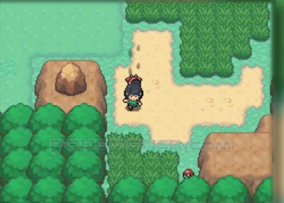 宝可梦泰坦游戏-插图1