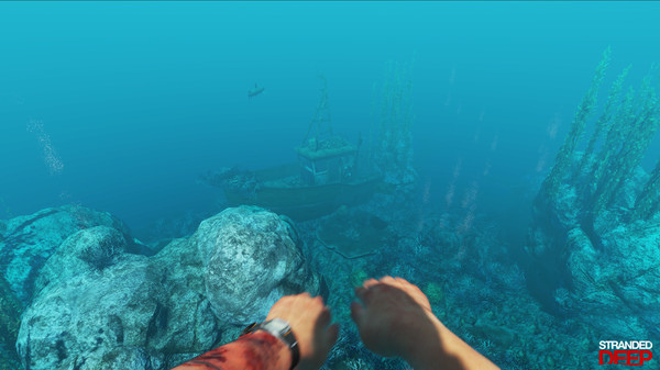 荒岛求生小浪游戏-插图2
