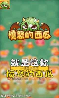 愤怒的西瓜-插图2