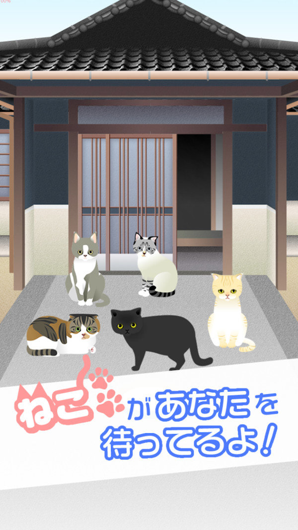 可爱猫咪满满2-插图1