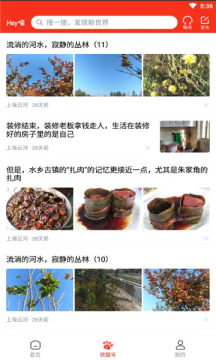 Hey喵app-插图2