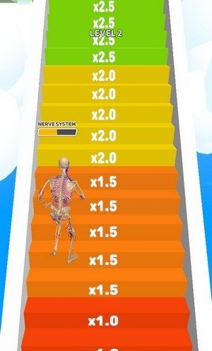 人类跑步-插图2