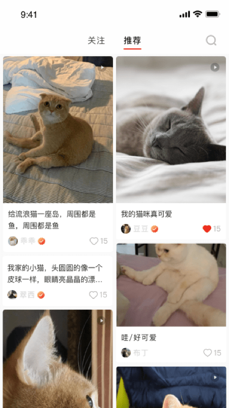 宠年年app-插图2