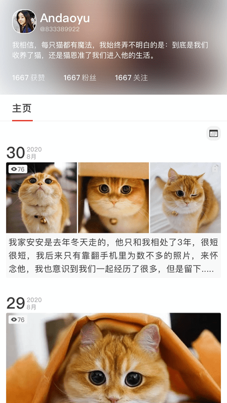 宠年年app-插图1