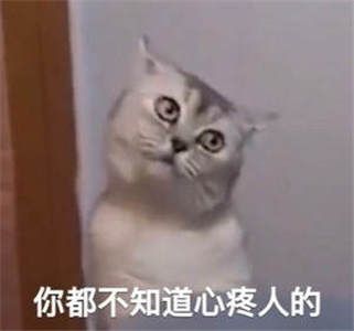 想你的液图片表情包-插图1