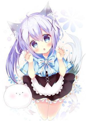 PICACG官网版-插图2