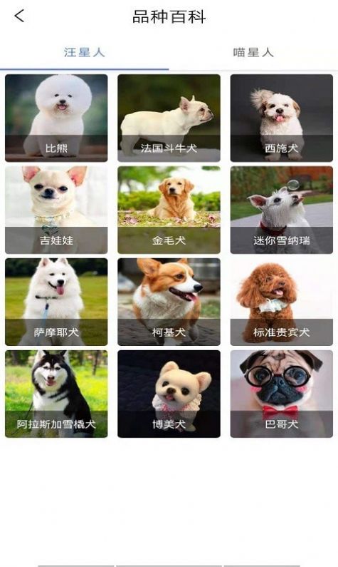 宠物知识全书app-插图2