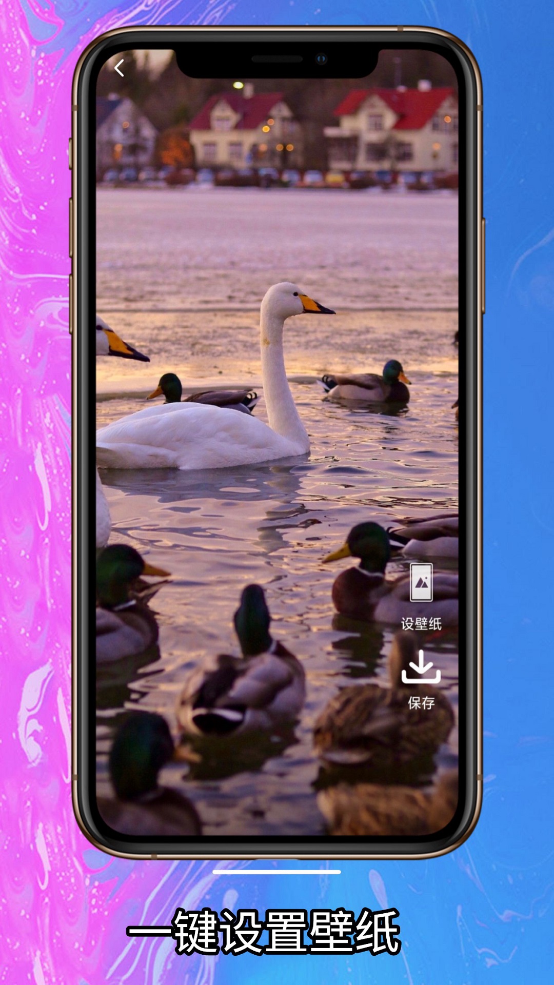 简单壁纸app-插图2
