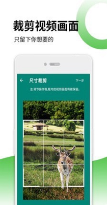 去水印视频解码软件-插图2