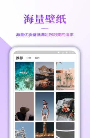 番茄壁纸-插图1