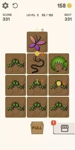 昆虫合并-插图2