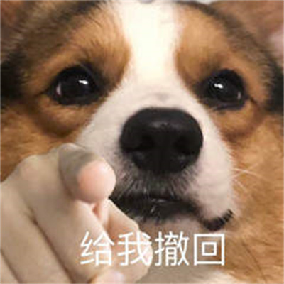 指人专用表情包-插图1