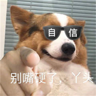 指人专用表情包-插图2