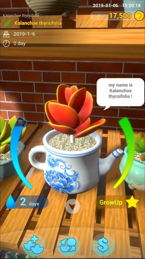 阳台花园游戏-插图1