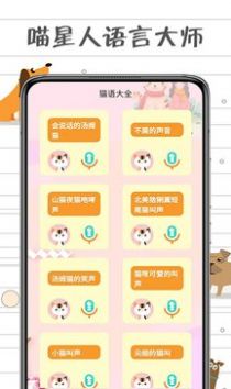 小猫交流器-插图1 小猫交流器-插图1