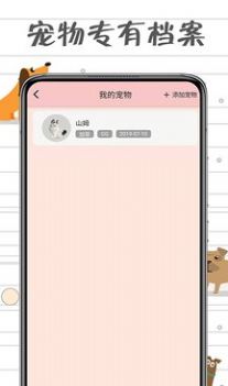 小猫交流器-插图2 小猫交流器-插图2