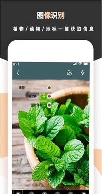 标准扫描王-插图1