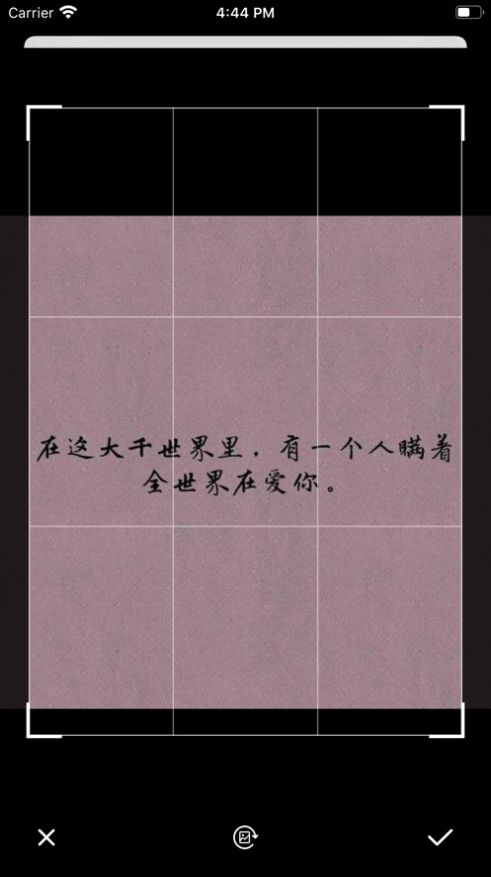 文字扫描全能王app-插图1