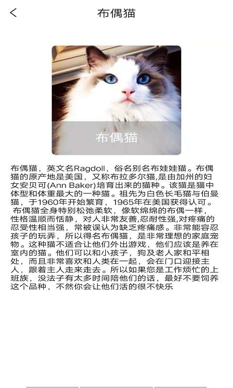 贝贝宠物百科app-插图1