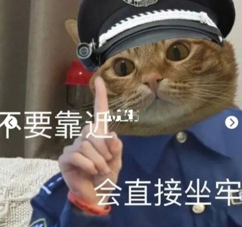 猫咪警察指人表情包-插图1