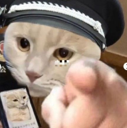 猫咪警察指人表情包-插图2