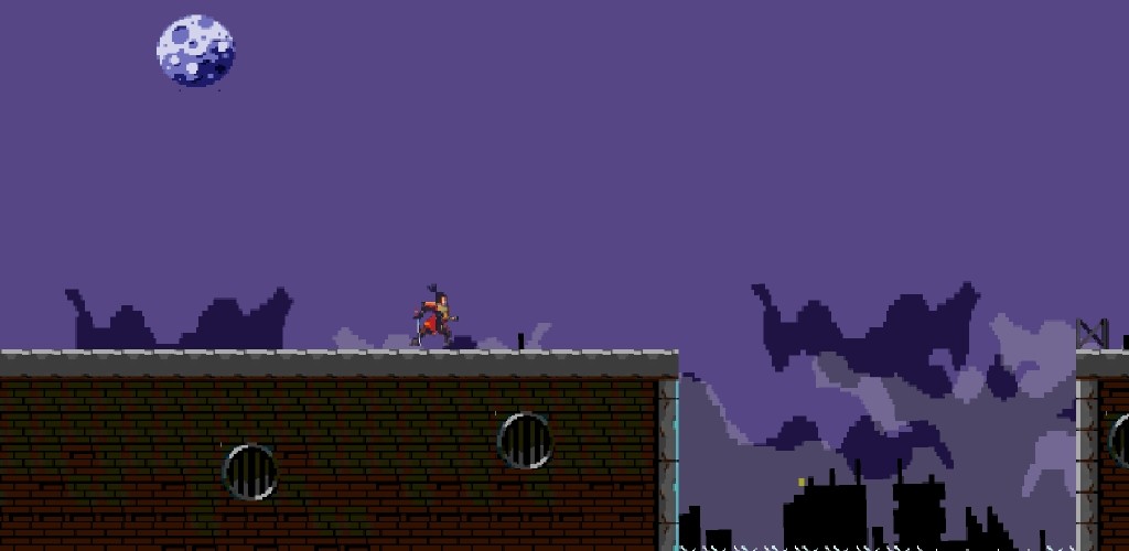 忍者阴影Z-插图2 忍者阴影Z-插图2