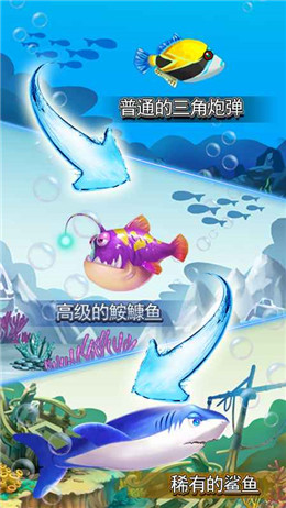 猫猫水族馆游戏-插图1