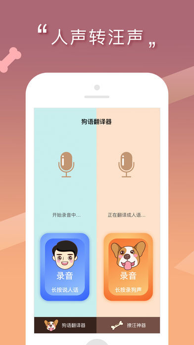 人狗交流器-插图1