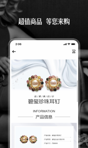 小铂大银-插图2