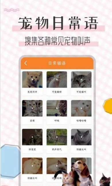 猫语翻译宝-插图1 猫语翻译宝-插图1