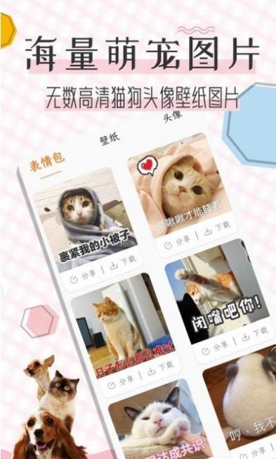 猫语翻译宝-插图2 猫语翻译宝-插图2